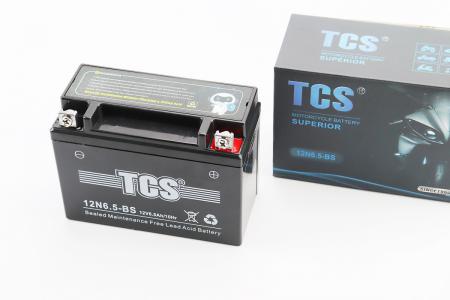 Акумулятор 12V6,5Ah 12N6,5-BS GEL (L138*W66*H101mm), TCS