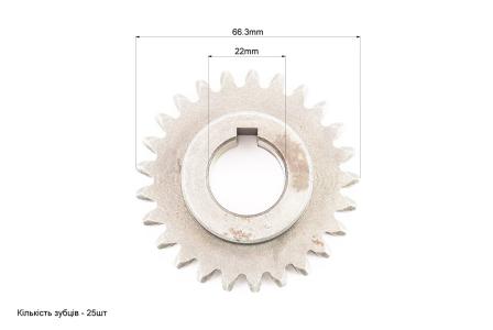 Шестерня під шпонку, h-20mm, Z-25, d-22mm до мотоблока з двигуном R175A/R195NM та їх аналогів