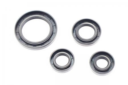Сальники двигуна до мотоцикла Loncin LX200GY-3, комплект 4 шт, FENGRI