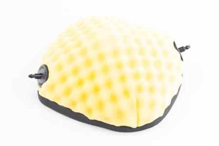 Фільтр-елемент повітряний FE250 ADVANCE/250-4Т для мототехніки
