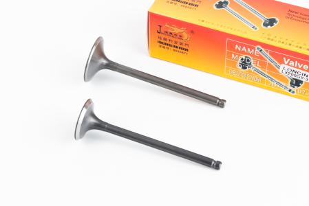Клапани випускний (H-89,5; D-27), впускний (H-91; D-31,5) комплект 2 шт 200 cc до мотоцикла Loncin LX200GY-3