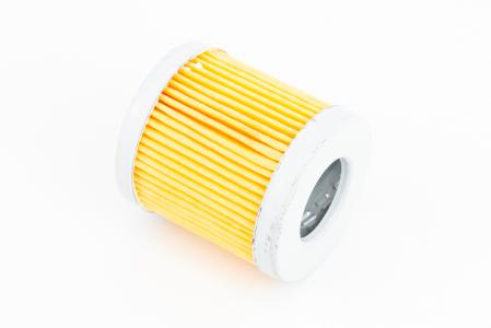 Фільтр паливний-елемент 53 мм до мотоблока ZUBR R170/R195NM